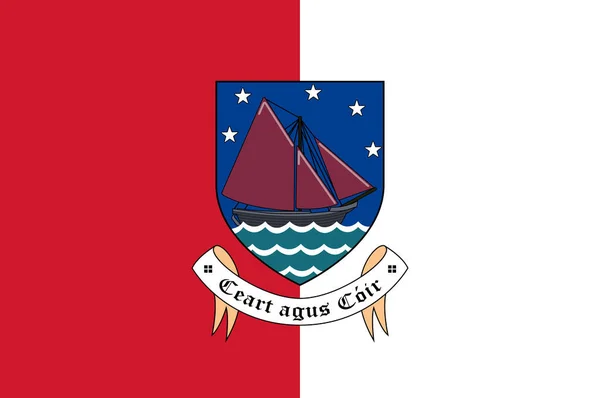 ゴールウェイ郡旗はアイルランドの郡である ベクターイラスト — ストックベクタ