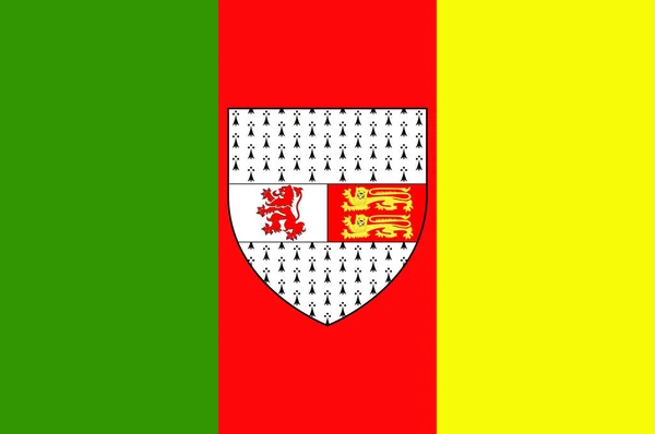 Flag County Carlow Condado Situado Región Sudeste Irlanda Dentro Provincia — Archivo Imágenes Vectoriales