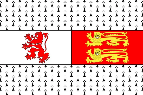 Прапор Графства Карлоу Англ Flag County Carlow Графство Розташоване Південно — стоковий вектор