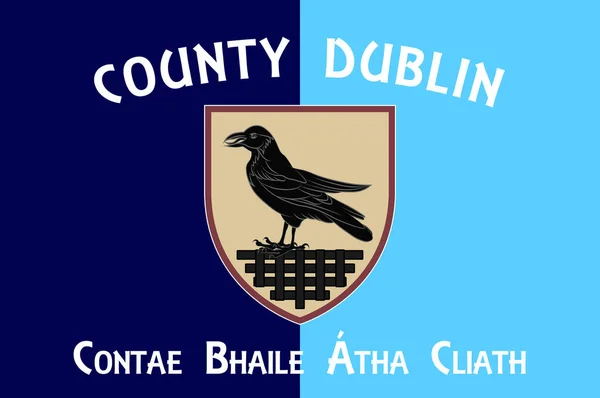 더블린 Flag County Dublin 아일랜드의 자치주중 하나이다 일러스트 — 스톡 벡터