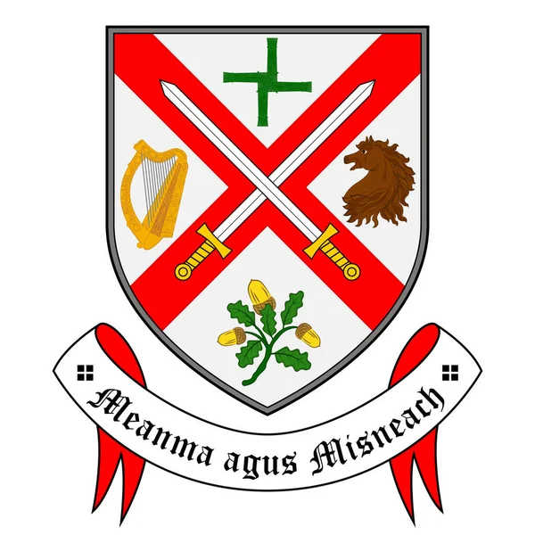 Herb Hrabstwa Kildare Hrabstwo Irlandii Ilustracja Wektora — Wektor stockowy