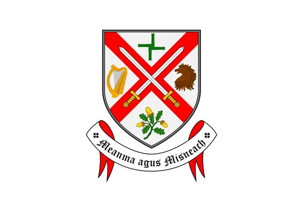 Flaga Hrabstwa Kildare Hrabstwo Irlandii Ilustracja Wektora — Wektor stockowy