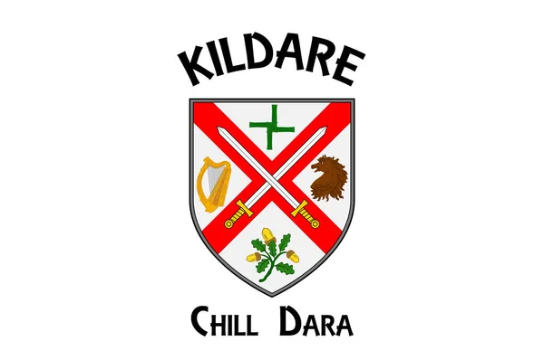 Flag County Kildare Een County Ierland Vectorillustratie — Stockvector