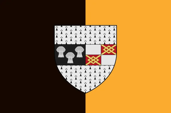 基尔肯尼县旗是爱尔兰的一个县 它位于莱茵斯特省 是东南地区的一部分 矢量说明 — 图库矢量图片