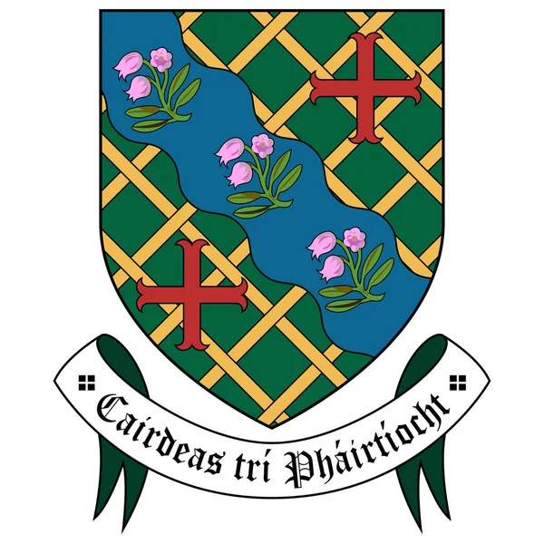 Mountmellick Een Plaats Het Ierse Graafschap County Laois Vectorillustratie — Stockvector