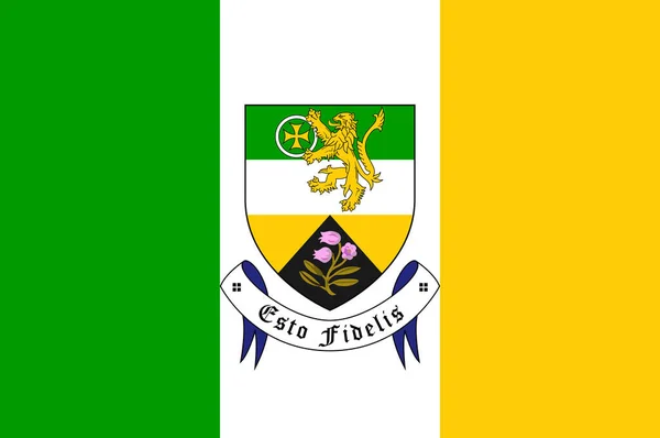 Flaga Hrabstwa Offaly Hrabstwo Irlandii Ilustracja Wektora — Wektor stockowy