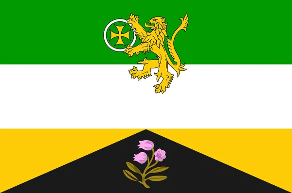 Bandiera Della Contea Offaly Una Contea Dell Irlanda Illustrazione Vettoriale — Vettoriale Stock
