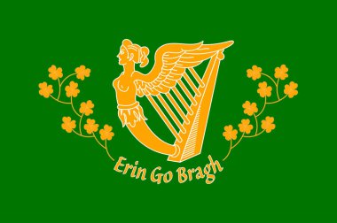 Flag of Irish-American ethnic group. Vector illustration