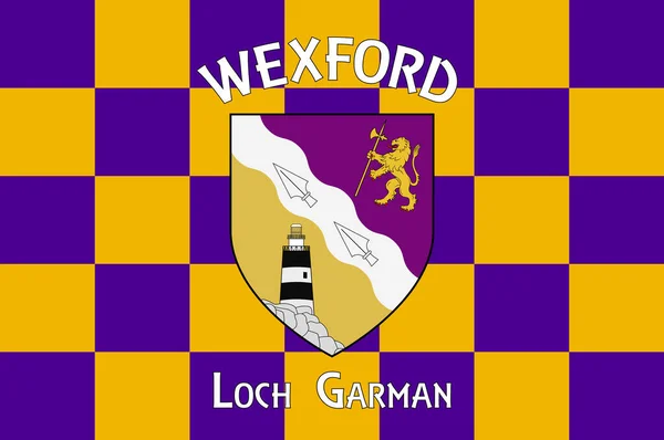 Flag County Wexford Een County Ierland Vectorillustratie — Stockvector