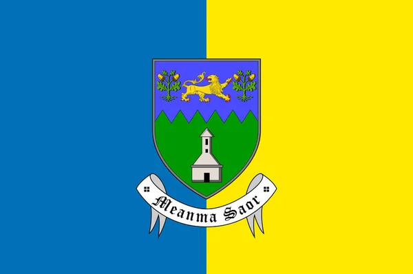 Σημαία Της Κομητείας Wicklow Είναι Μια Κομητεία Στην Ιρλανδία Εικονογράφηση — Διανυσματικό Αρχείο