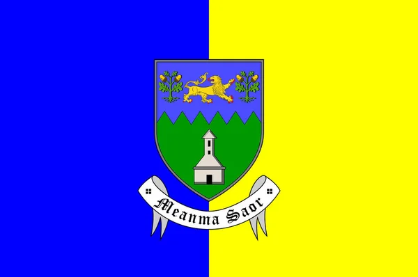 Die Flagge Der Grafschaft Wicklow Ist Eine Grafschaft Irland Vektorillustration — Stockvektor