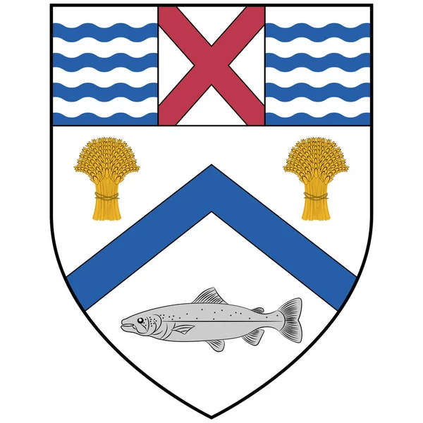 Coat Arms Coleraine Town Civil Parish Mouth River Bann County — Stock Vector