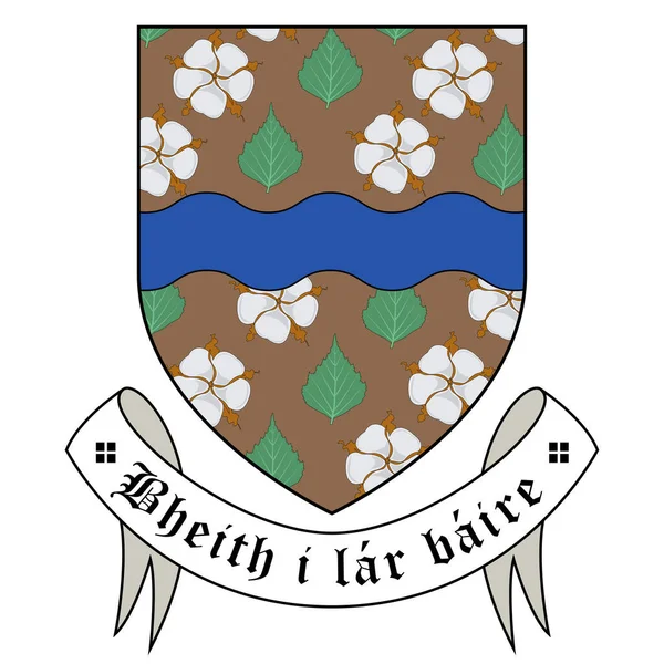 Wappen Von Ballybay Ist Eine Stadt Der Grafschaft Monaghan Irland — Stockvektor