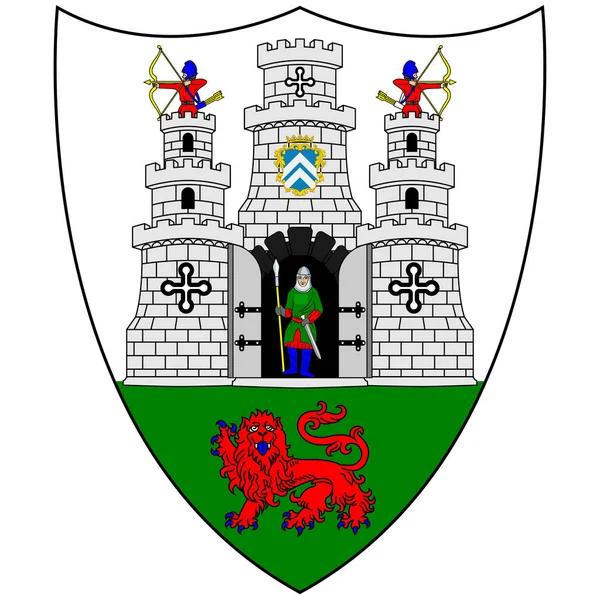 Wappen Von Kilkenny Ist Eine Stadt Der Grafschaft Kilkenny Irland — Stockvektor