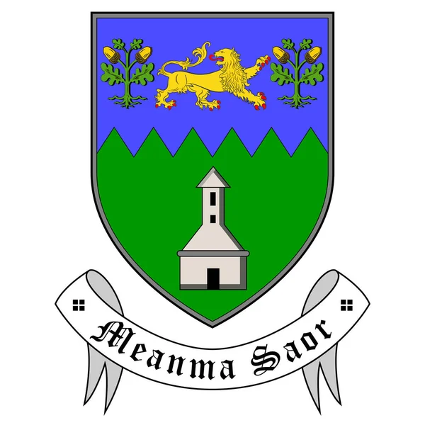 ウィックロー郡の紋章はアイルランドの郡である ベクターイラスト — ストックベクタ
