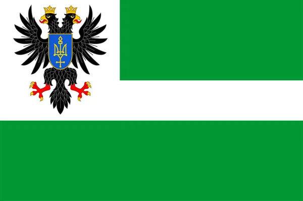 Bandeira Oblast Chernihiv Uma Província Norte Ucrânia Ilustração Vetorial —  Vetores de Stock