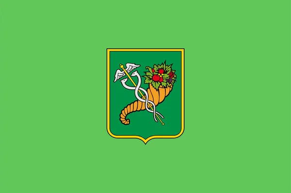 Vlag Van Kharkiv Een Grootste Stad Van Oekraïne Vectorillustratie — Stockvector