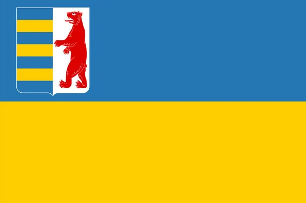 Zakarpatska Oblastı Bayrağı Ukrayna Nın Güneybatısında Bulunan Bir Idari Vektör — Stok Vektör