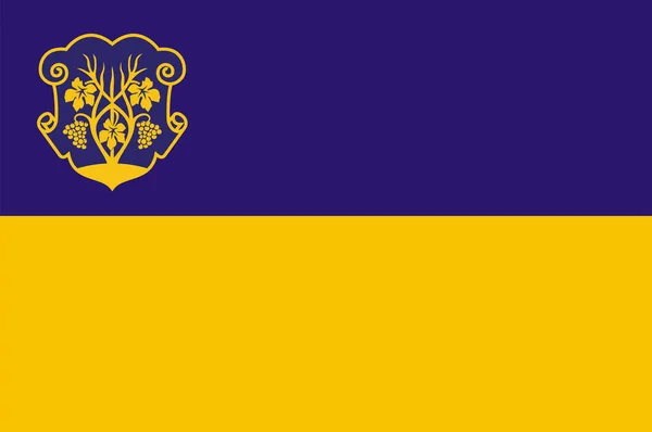 Zászló Ungvár Egy Város Található Nyugat Ukrajnában Vektorillusztráció — Stock Vector