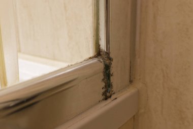 Gümüş renkli bir çerçeve temiz bir duş perdesi tutar, ama dikiş yeri ağır toprakla doludur. Kahverengi ve mavi lekeler eklem yerinden dökülüyor ve plastik kenar yamuk ve kötü temizlenmiş görünüyor..