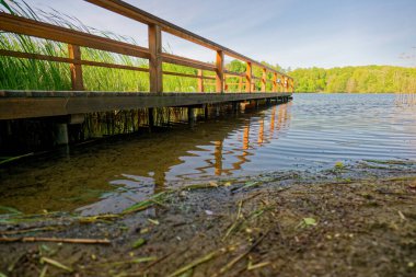 Ahşap bir iskele solgun kumdan oluşan küçük bir plajla sınırdır. Sığ su kıyıya doğru uzanır ve gevşek bataklık kamışları kıyıda uzanır. Ağaçlar, gölde hafif dalgalanmalarla, berrak güneş ışığı altında koyu çerçeveler..