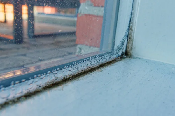 Pencerenin iç tarafındaki buharlaşma ve küf, kışın nem ve havalandırma eksikliği, enerji kaybı ve sağlık risklerinin sembolü olan nem hasarı gösteriyor.