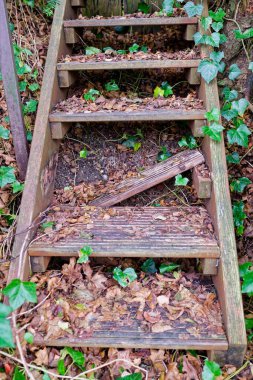 Kaba tahtalardan oluşan basit bir merdiven yeşil bir yamaca tırmanıyor, bir basamak yok ve yakınlarda eğimli yatıyor, ince bitkiler merdivenlerden sürünüyor, küçük dallar ve soluk yapraklar yerde..