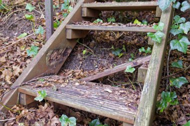 Kırsal bir merdiven küçük bir tepeye tırmanır, yıpranmış tahtalar toprakta ve sarmaşıkta oturur, bir ahşap lastik yırtılır ve koşunun yanında yatar, kuru yapraklar yol boyunca dağılır, yeşil filizler yükselişe geçer..