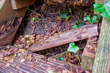 Kırık bir kereste parçası koşudan kopmuş, kalas toprak ve yaprak yığınları arasında eğilmiş, tahıl ve kıymıklar sert yaşları gösteriyor, yumuşak gölgelerde yosun parçaları kenarlara yapışıyor..