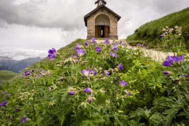 Küçük bir kilise arka plan üzerinde Dolomites mor çiçekler.