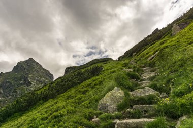 Dağ izi Tatra Dağları'nda. Polonya.