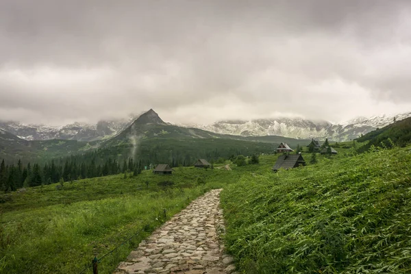 Gasienicowa Долина Червні Гори Татри Польща — стокове фото