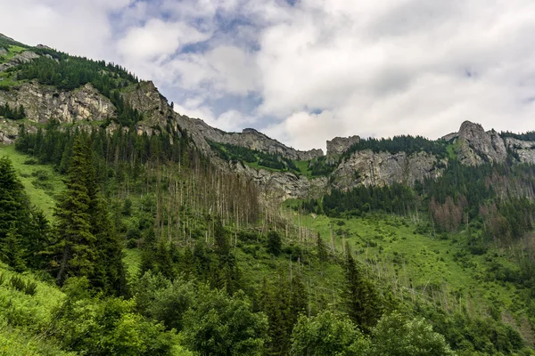 Güzel yaz peyzaj Belianske Tatry dağlara. Slovakya.