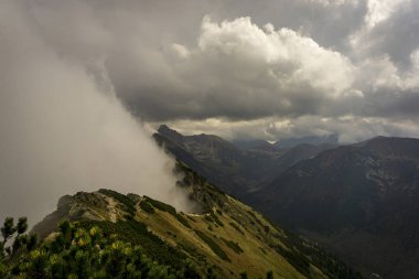 Güzel sahne dağ Trail. Tatra Dağları.