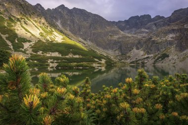 Siyah su birikintisi Gasienicowy güzel temiz dağ gölü. Tatra Dağları. Polonya.