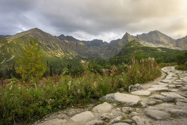 Yaz sonu Gasienicowa Vadisi'nde. Tatra Dağları. Polonya.