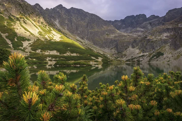 Чорний Ставок Gasienicowy Красиві Чисте Гірське Озеро Гори Татри Польща — стокове фото