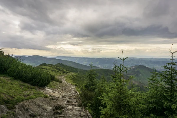 Dağ izi Tatra Dağları'nda. Polonya.
