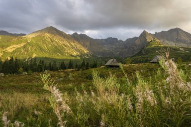 Gasienicowa Vadisi yüksek Tatras büyük doruklarına arka plan üzerinde. Polonya.