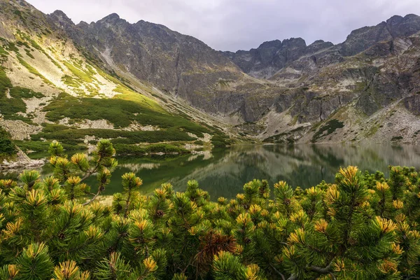 Les Montagnes Polonaises Tatra Black Pond Gasienicowy Septembre — Photo