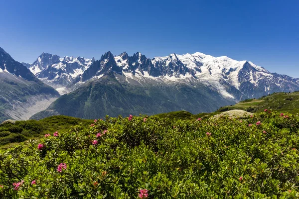 Alps June View Mont Blanc Massif Royalty Free Stock Photos