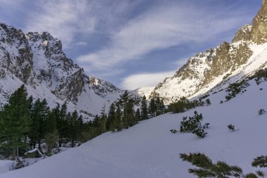 Slovakya doğanın güzelliği. Mala Studena dolina. Tatra Dağları.