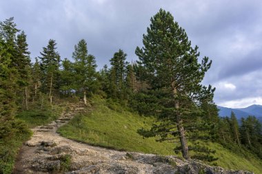 Güzel dağ manzarası Nosal üzerinde. Tatra Dağları. Polonya.