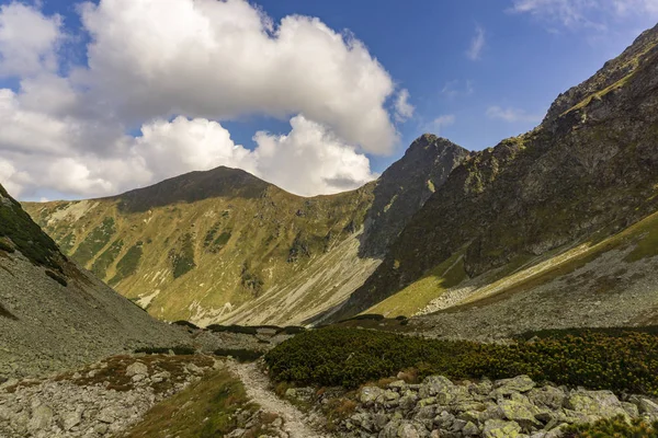 Smutna Tal Herbst Westtatra Slowakei — Stockfoto