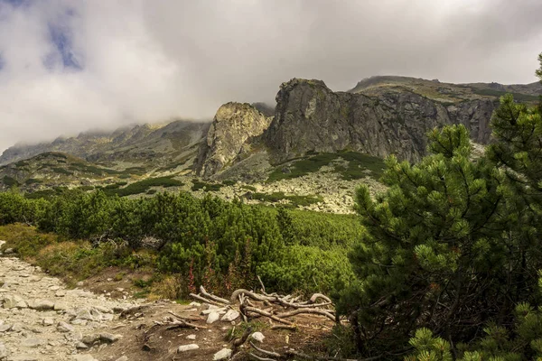 Mlynicka 渓谷の風景 タトラ山脈 スロバキア — ストック写真
