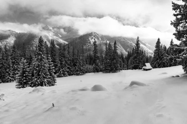 Güzel kış manzara Rusinowa Glade üzerinde. Tatra Dağları.
