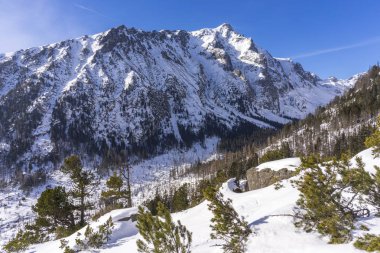 Slavkovsky en güzel kış manzarası. Yüksek Tatra Dağları. Slovakya.