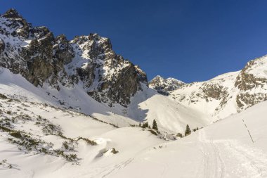 Mala Studena dolina kış. Tatra Dağları. Slovakya.