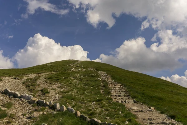 Dağ yaz manzarası. Czerwone Wierchy alanı. Batı Tat — Stok fotoğraf