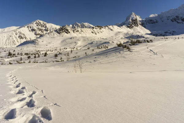 Vale de Gasienicowa no inverno. Montanhas Tatra. Polónia . — Fotografia de Stock